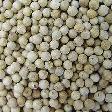 Manufacturers Exporters and Wholesale Suppliers of white Pepper Nashua NH